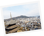 寺と山