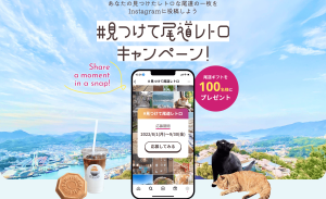 観光サイト